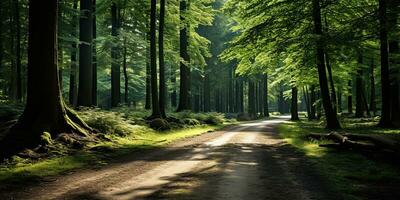 ai gegenereerd. ai generatief. buitenshuis natuur avontuur Woud wandelen pad weg avonturen achtergrond. grafisch kunst foto