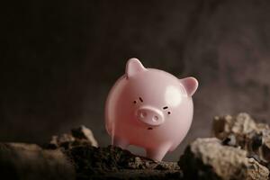 financieel succes concepten. obstakels naar besparing geld. een roze varkentje bank proberen naar wandelen door Aan de ruw weg foto