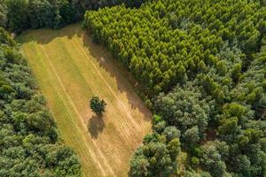 luchtfoto van velden op het Poolse platteland in de zomer foto