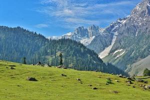 songmarg de weide van goud foto