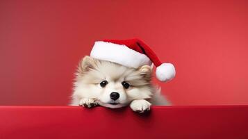 schattig hond in santas hoed met geschenk doos foto
