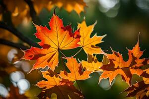 herfst bladeren zijn getoond in deze foto. ai-gegenereerd foto