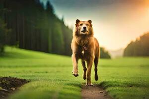 een hond rennen Aan een pad in de midden- van een veld. ai-gegenereerd foto