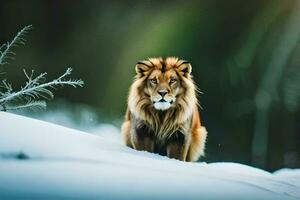 een leeuw is staand in de sneeuw. ai-gegenereerd foto