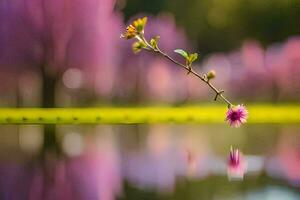 een single roze bloem is weerspiegeld in de water. ai-gegenereerd foto