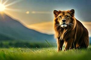 een leeuw is staand in de gras Bij zonsondergang. ai-gegenereerd foto
