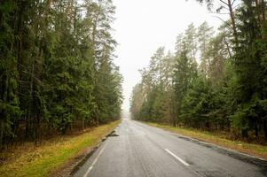 geplaveid weg in de midden- van de Woud foto