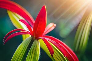 een rood bloem met groen bladeren in de zon. ai-gegenereerd foto