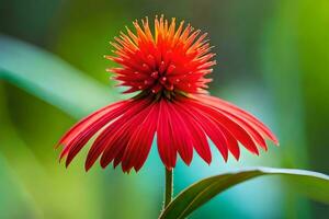 een rood bloem met een groen stam in de achtergrond. ai-gegenereerd foto