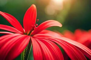 rood bloem met zon in achtergrond. ai-gegenereerd foto