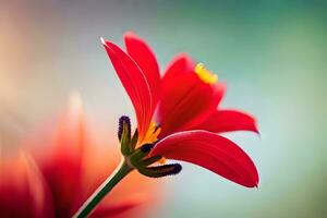 een rood bloem is getoond in voorkant van een wazig achtergrond. ai-gegenereerd foto