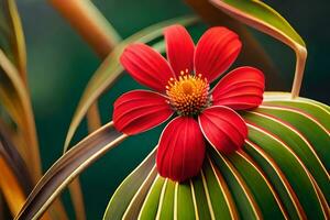 een rood bloem is zittend Aan top van een groen blad. ai-gegenereerd foto