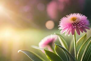 roze bloemen in de zonlicht met een wazig achtergrond. ai-gegenereerd foto