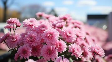 zonnebloem met regendruppels ai generatief foto