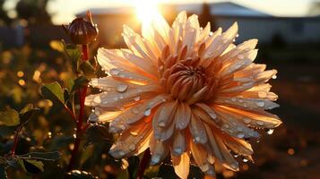 een bundel van roze bloemen in een zwart houder ai generatief foto