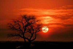 abstract schoonheid in natuur klein zon, boom silhouet, rustig zonsondergang ai gegenereerd foto