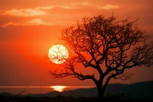 aard abstract kunst klein zon, boom silhouet, rustig zonsondergang schoonheid ai gegenereerd foto
