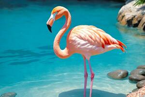 lagune helderheid, flamingo delicaat houding, ai gegenereerd foto