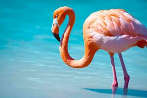 gedetailleerd flamingo schoonheid in kristal lagune, ai gegenereerd foto