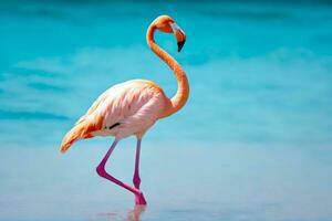 een legged vraag me af, flamingo in Doorzichtig lagune, ai gegenereerd foto
