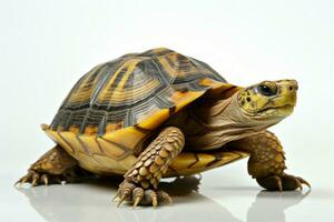 eenzaam schildpad in isolatie, haar essence geopenbaard tegen een zuiver wit achtergrond ai gegenereerd foto