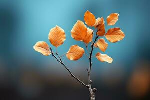 single bladeren vallen in herfst seizoen ai generatief foto