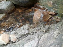 dichtbij omhoog waterval in de Woud foto