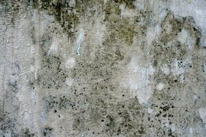 dichtbij omhoog oud vuil grunge mos getextureerde muur foto