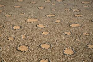 fee cirkels in de namib woestijn. foto