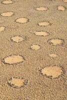 fee cirkels in de namib woestijn. foto