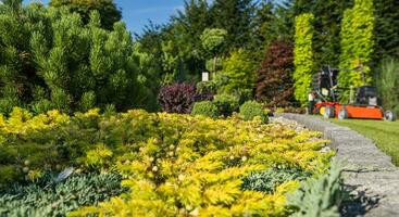 groot en volwassen woon- tuin onderhoud thema. foto