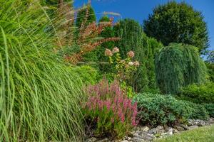 gerijpt achtertuin tuin met grassen en kachel planten foto