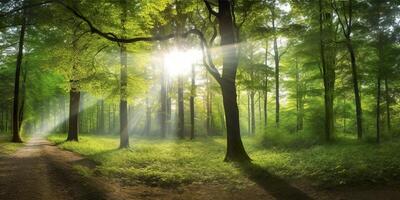 mooi stralen van zonlicht in een groen Woud. generatief ai foto