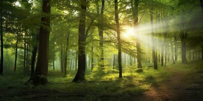 mooi stralen van zonlicht in een groen Woud. generatief ai foto