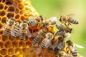 honing bijen Aan honingraat in bijenstal in zomer, honing bijen communiceren met elk ander, ai generatief foto