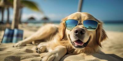 gouden retriever hond is Aan zomer vakantie Bij kust toevlucht en ontspannende rust uit Aan zomer strand van Hawaii. ai generatief foto