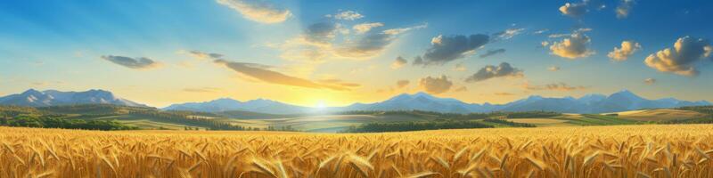 zomer tarwe veld- panorama platteland ai gegenereerd foto