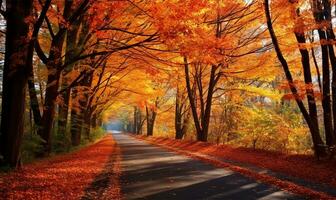 kronkelend weg deken door een levendig tapijtwerk van gedaald bladeren in tinten van oranje, rood, en goud. hoog bomen, met hun luifels nog steeds uitstappen met herfst kleuren. ai gegenereerd foto