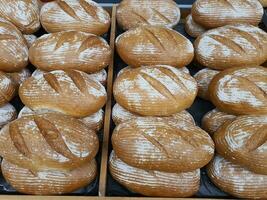 regelmatig brood brood in bakkerij in bakkerij of kruidenier op te slaan. vers gebakken in boodschappen doen Scherm, detailopname foto