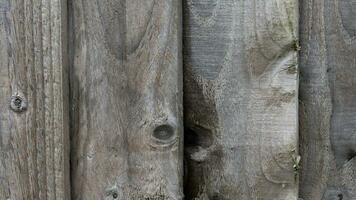 natuurlijk hout graan structuur achtergrond foto