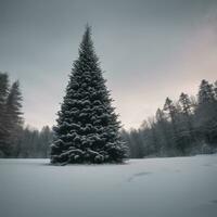 ai gegenereerd inhoud. betoverd winter wonderland groenblijvend Woud Bij middernacht foto