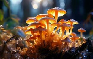 geel licht detailopname Aan mycelium. patroon van eetbaar champignons. beeldmateriaal van biologisch champignons. een zwerm van champignons is ontspruiten. ai generatief foto