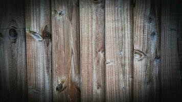 natuurlijk hout graan structuur achtergrond foto