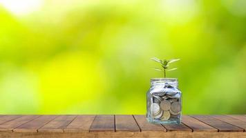 financiële en pensioenplanningsideeën, flessenplantbomen om geld te besparen op houten tafel en wazige natuurlijke groene achtergrond.