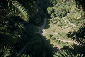 betoverend oerwoud antenne visie van een groen paradijs met palm bladeren. ai gegenereerd. foto