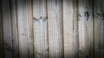 natuurlijk hout graan structuur achtergrond foto