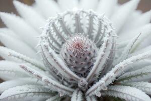 ijzig elegantie een dichtbij omhoog van een berijpt winter distel. ai gegenereerd. foto