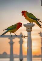 vastleggen liefde vogels. hartverwarmend foto's van aanhankelijk vogel koppels. ai generatief foto