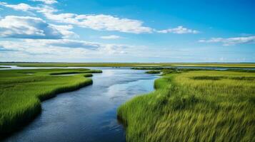 bewaren vitaal ecosystemen vieren wereld wetlands dag foto