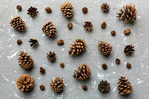 pijnboom kegels Aan gekleurde tafel. natuurlijk vakantie achtergrond met dennenappels gegroepeerd samen. vlak leggen. winter concept foto